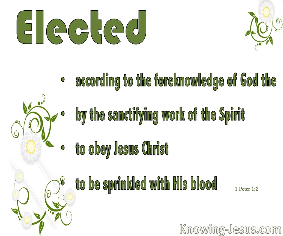 1 Peter 1:2 Elect According To the Foreknowledge of God (white)